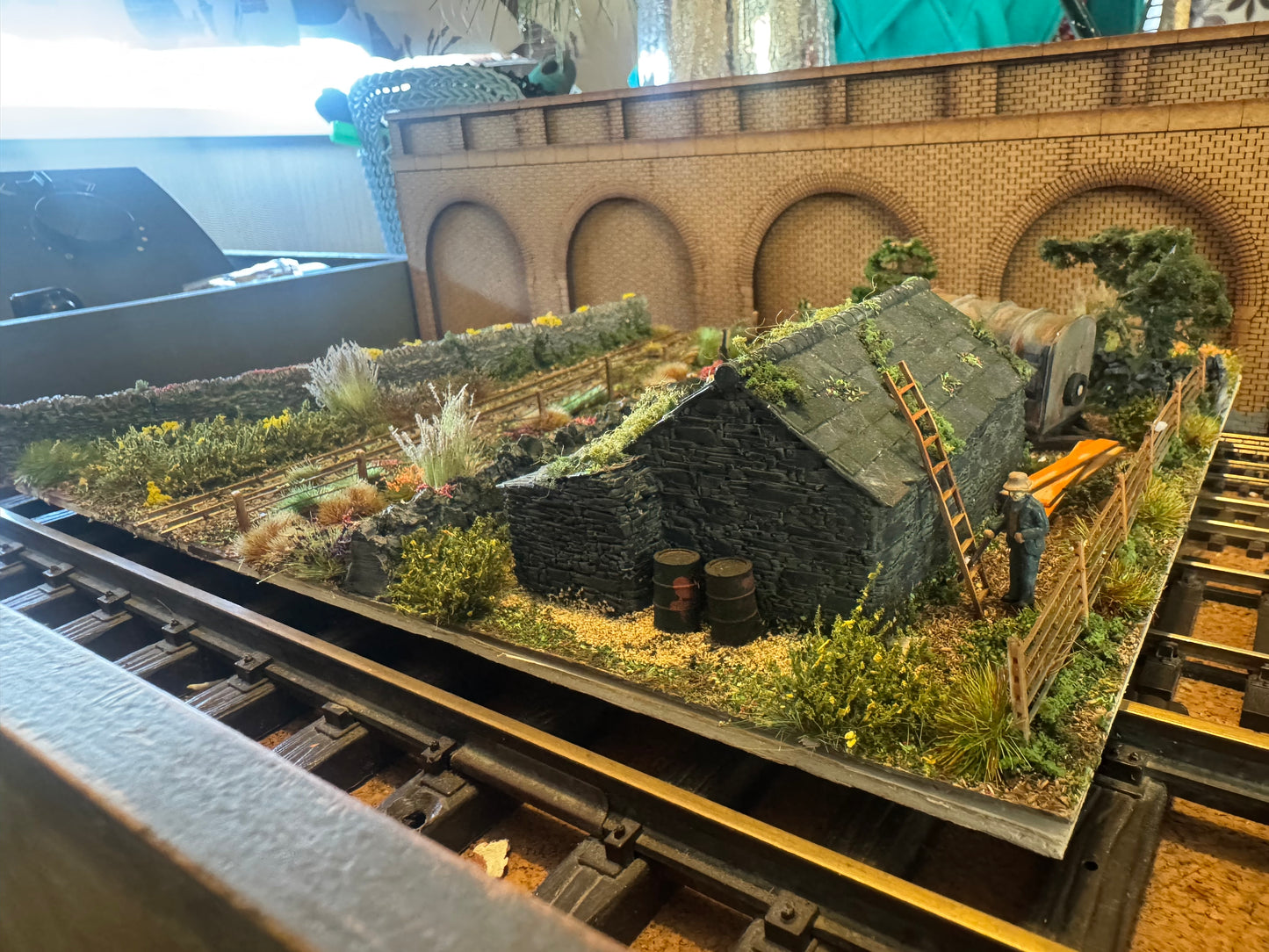 Colin Lipscomb 001 (OO9) Rural Life, Narrow Gauge Railway Diorama 