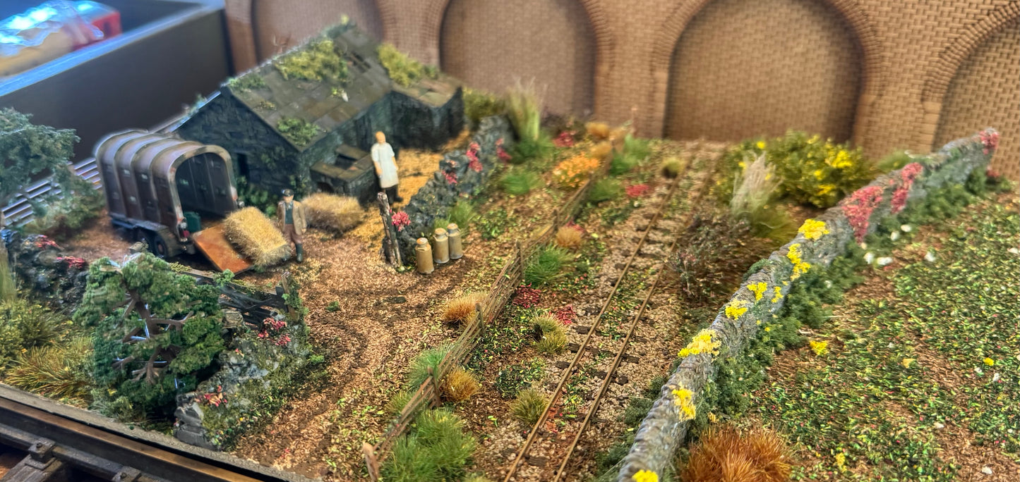 Colin Lipscomb 001 (OO9) Rural Life, Narrow Gauge Railway Diorama 